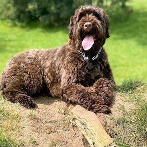 Meet your Posher, Nancy